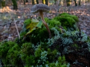 p1051719