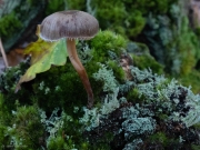 p1051720
