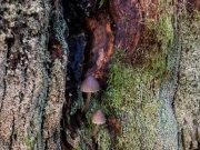 p1051725