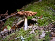 p1051751