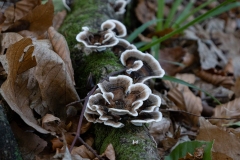 p1051571