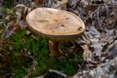 p1051574