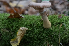 p1051601