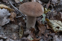 p1051604