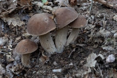 p1051609