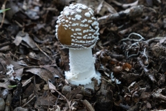p1051612
