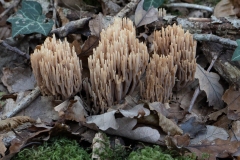 p1051613