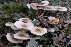 p1051615