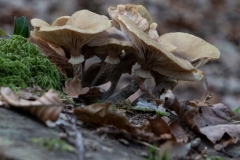 p1051624