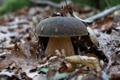 p1051626