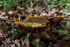 p1051659
