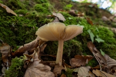 p1051665