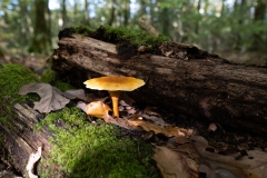 p1051678