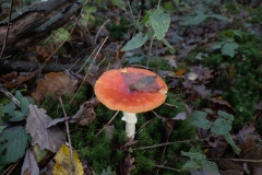 p1051690