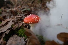 p1051695