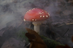 p1051697