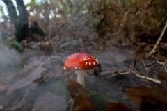 p1051698