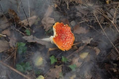 p1051704