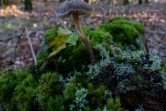 p1051719