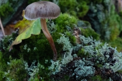 p1051720