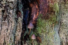 p1051725