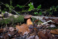 p1051743