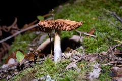 p1051751