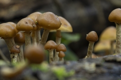 p1170526