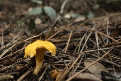 p1170982