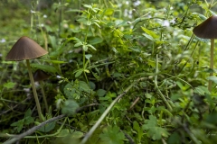 p1170991