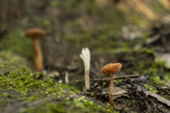 p1171011-enhanced-nr