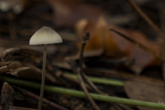 p1171017