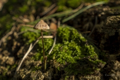 p1171077-enhanced-nr