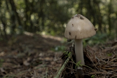 p1171080-enhanced-nr