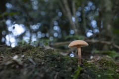 p1171091-enhanced-nr