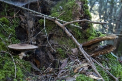 p1171096-enhanced-nr