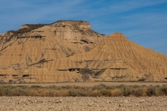 DSC06905