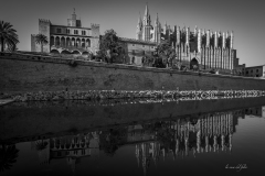 p1156800-enhanced-nr-2