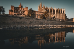 p1156800-enhanced-nr