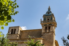 p1156835