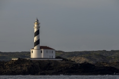 p1194272