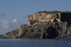 p1194307