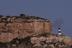 p1194325