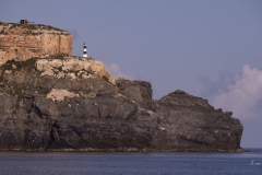 p1194327