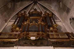 p1194349