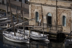 p1194364