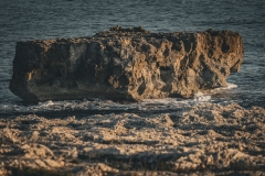 p1194417