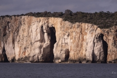 p1194503