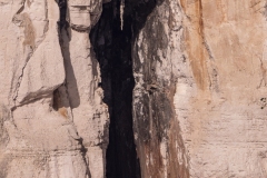 p1194518