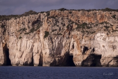 p1194527